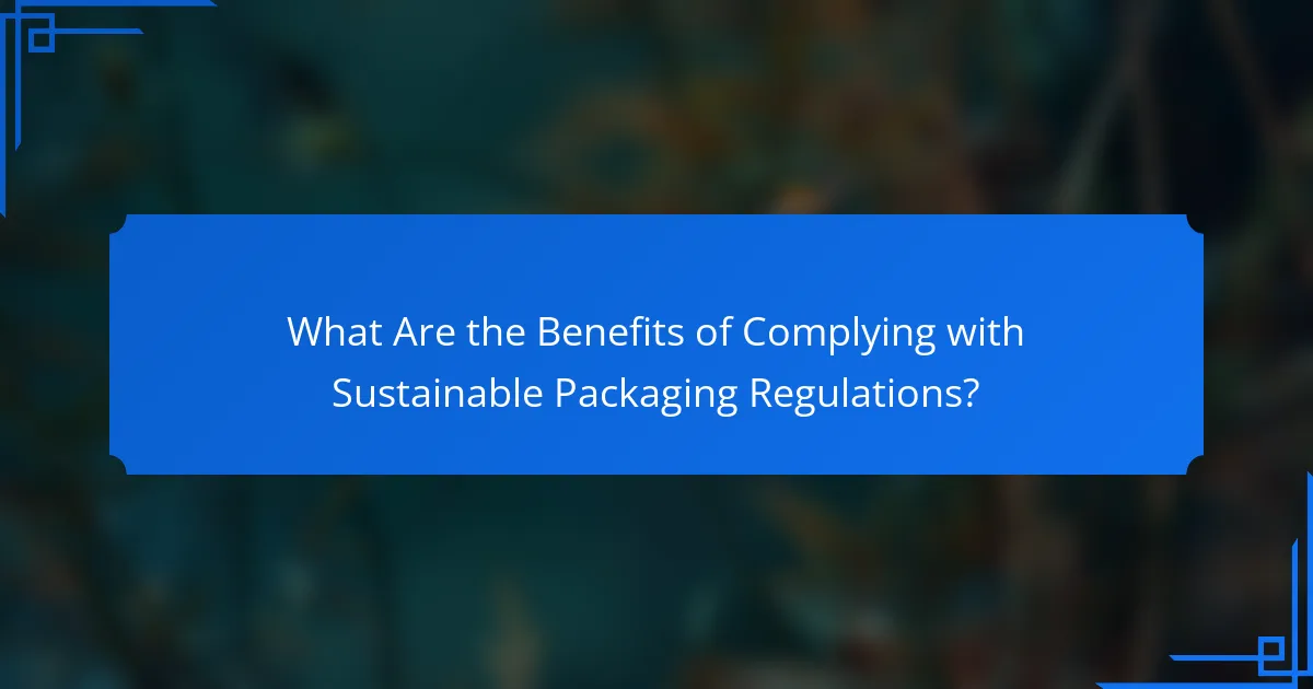 What Are the Benefits of Complying with Sustainable Packaging Regulations?