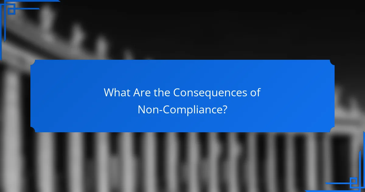 What Are the Consequences of Non-Compliance?